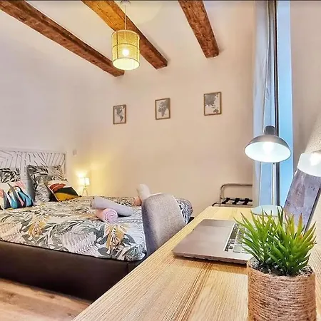 Lägenhet Southbay Appartement Hyper Centre Mulhouse *